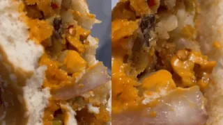 Mumbai Girl Finds Dead Insect Inside Online Ordered Burger; Viral Video Grosses Internet Out